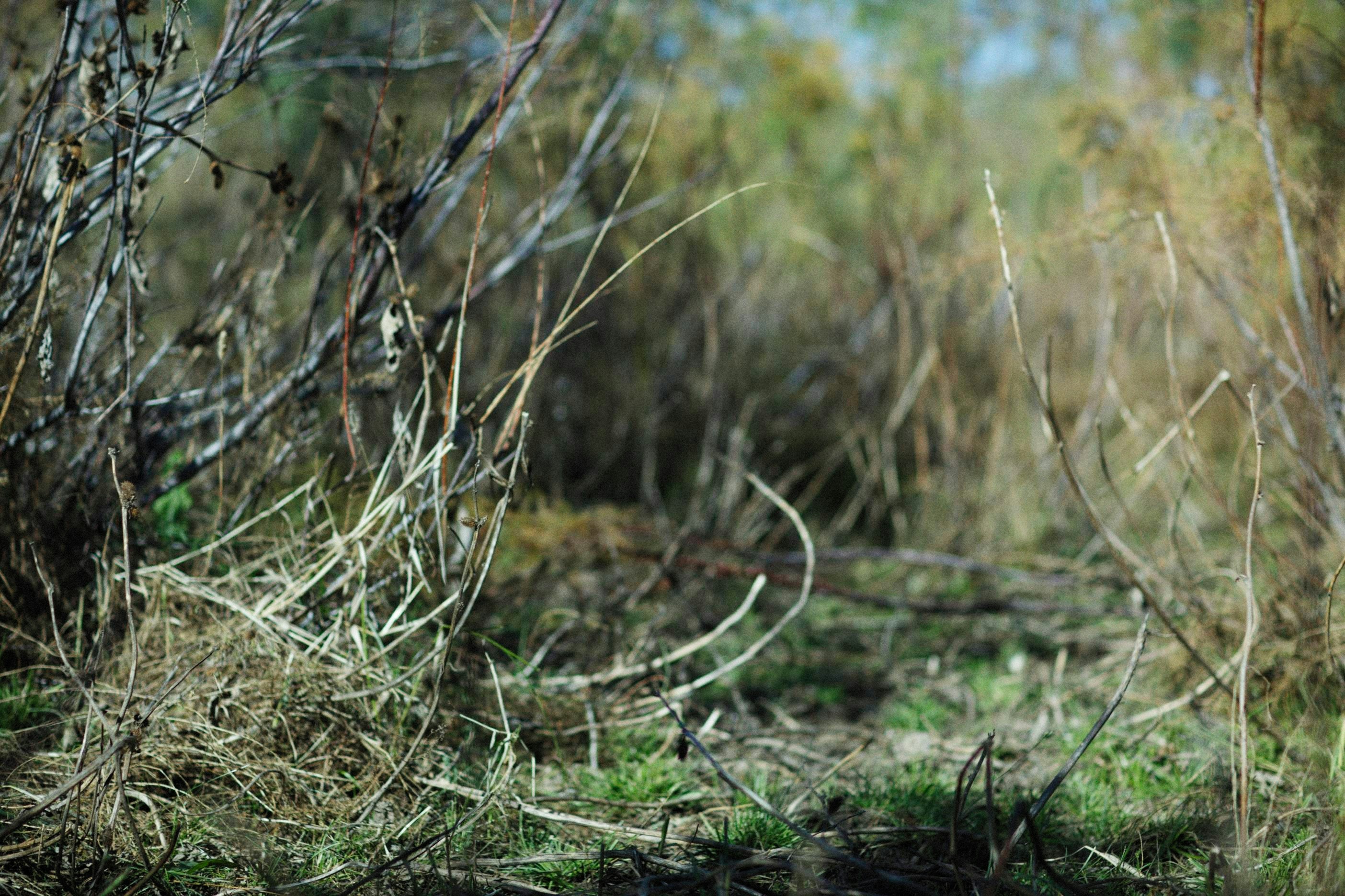 Photo by alexeydemidov