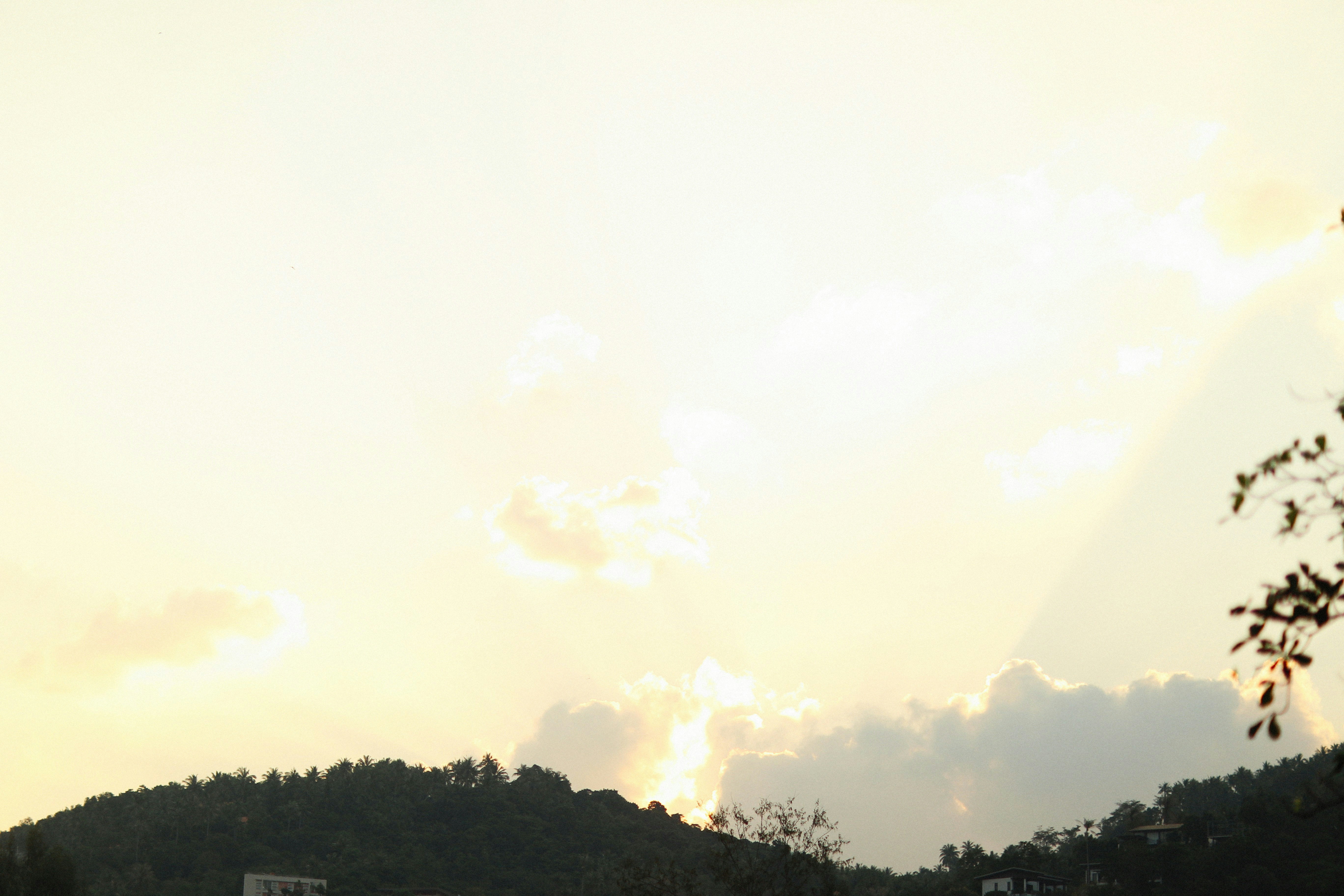 Photo by alexeydemidov