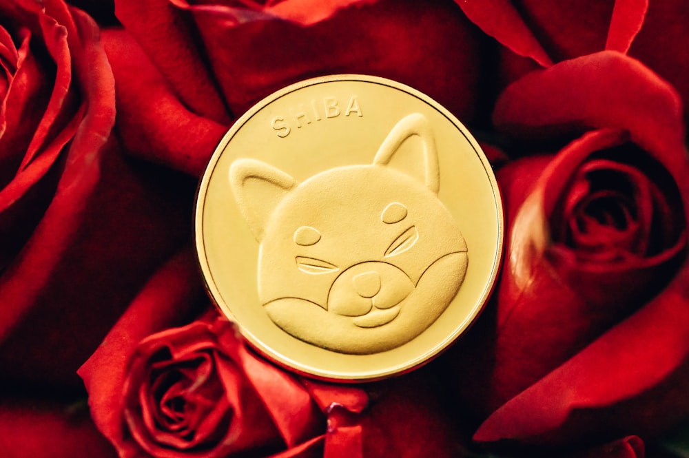 a close up of a gold coin with a cat on it