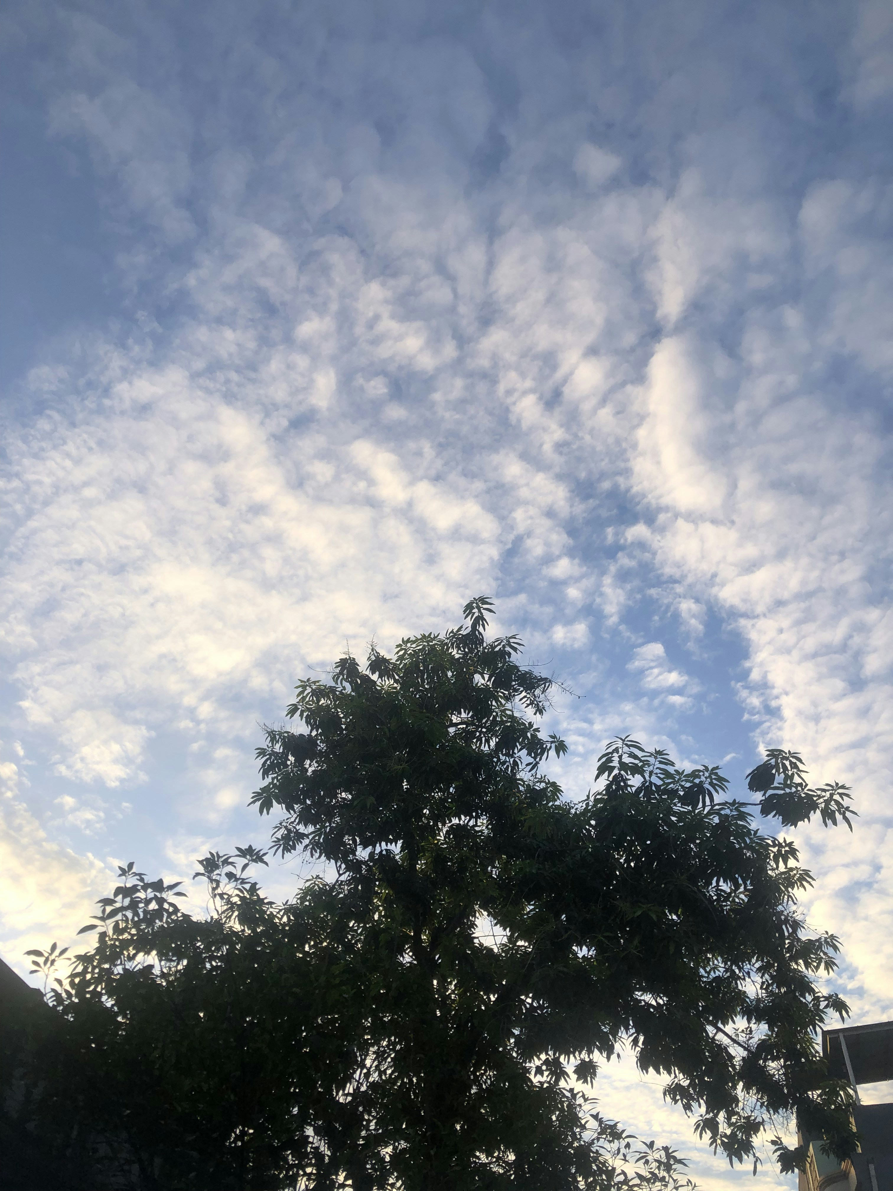 Photo by narraangelina