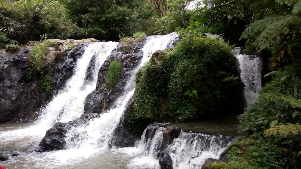 a waterfall in the middle of a forest