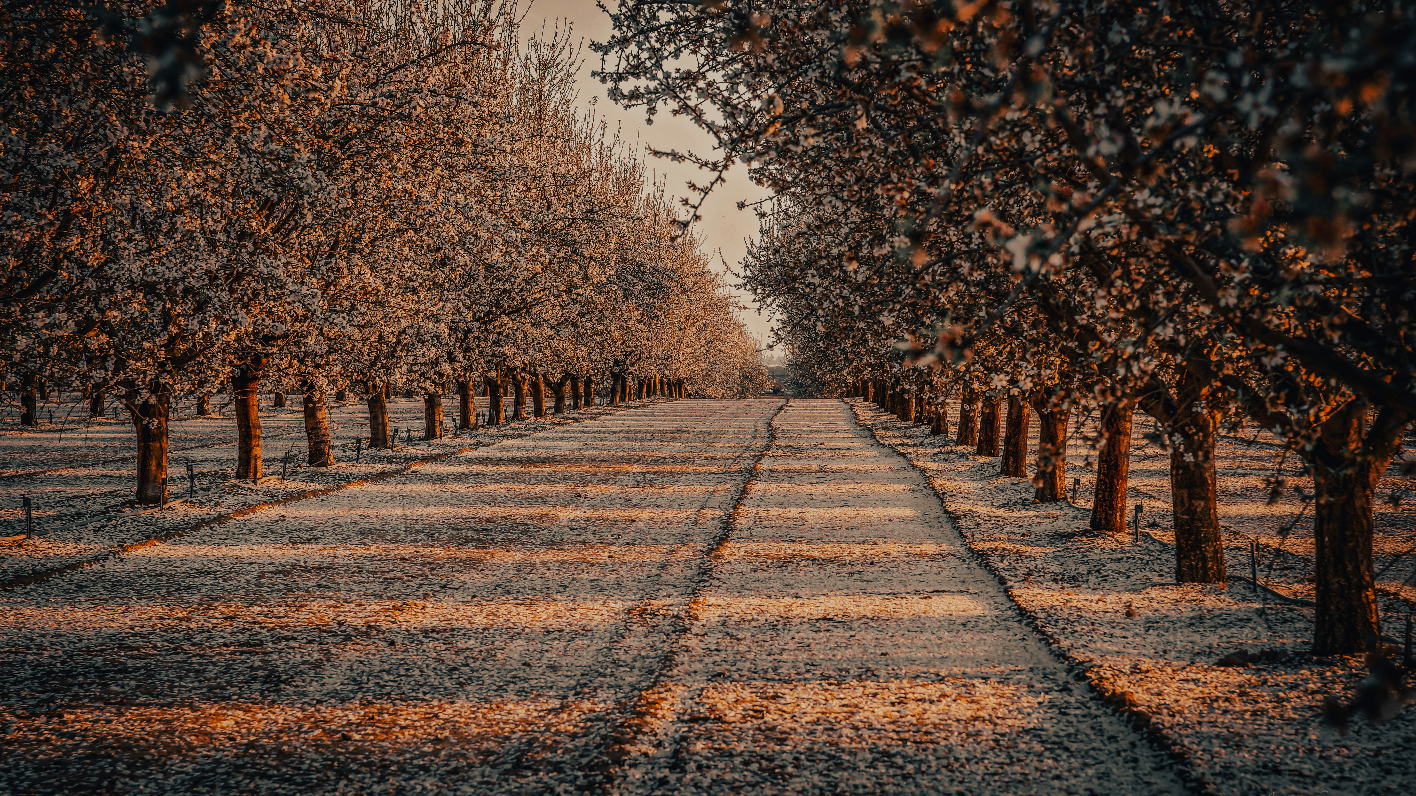 Photo by kalaniparker