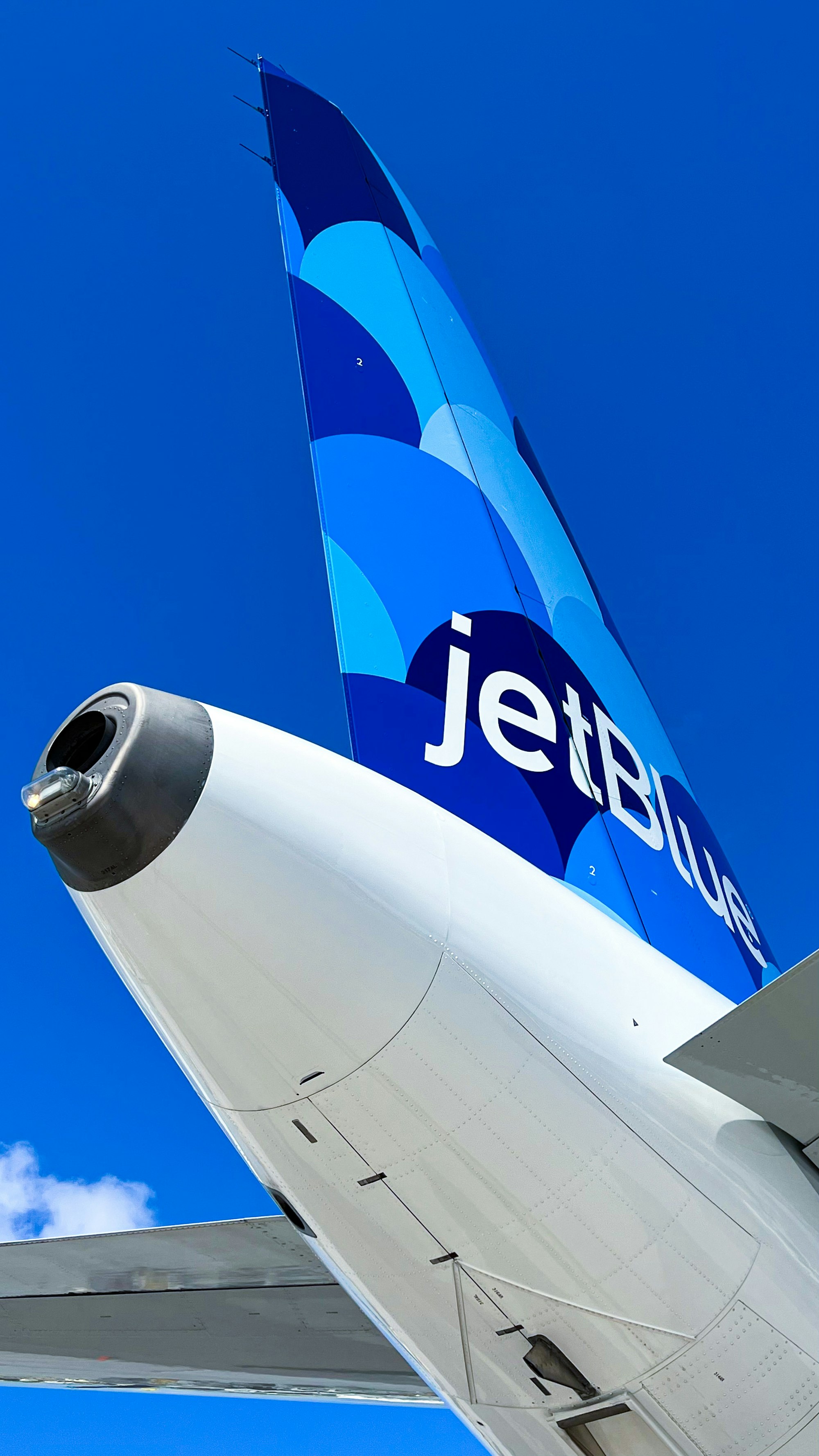 jetBlue A321 Tail
