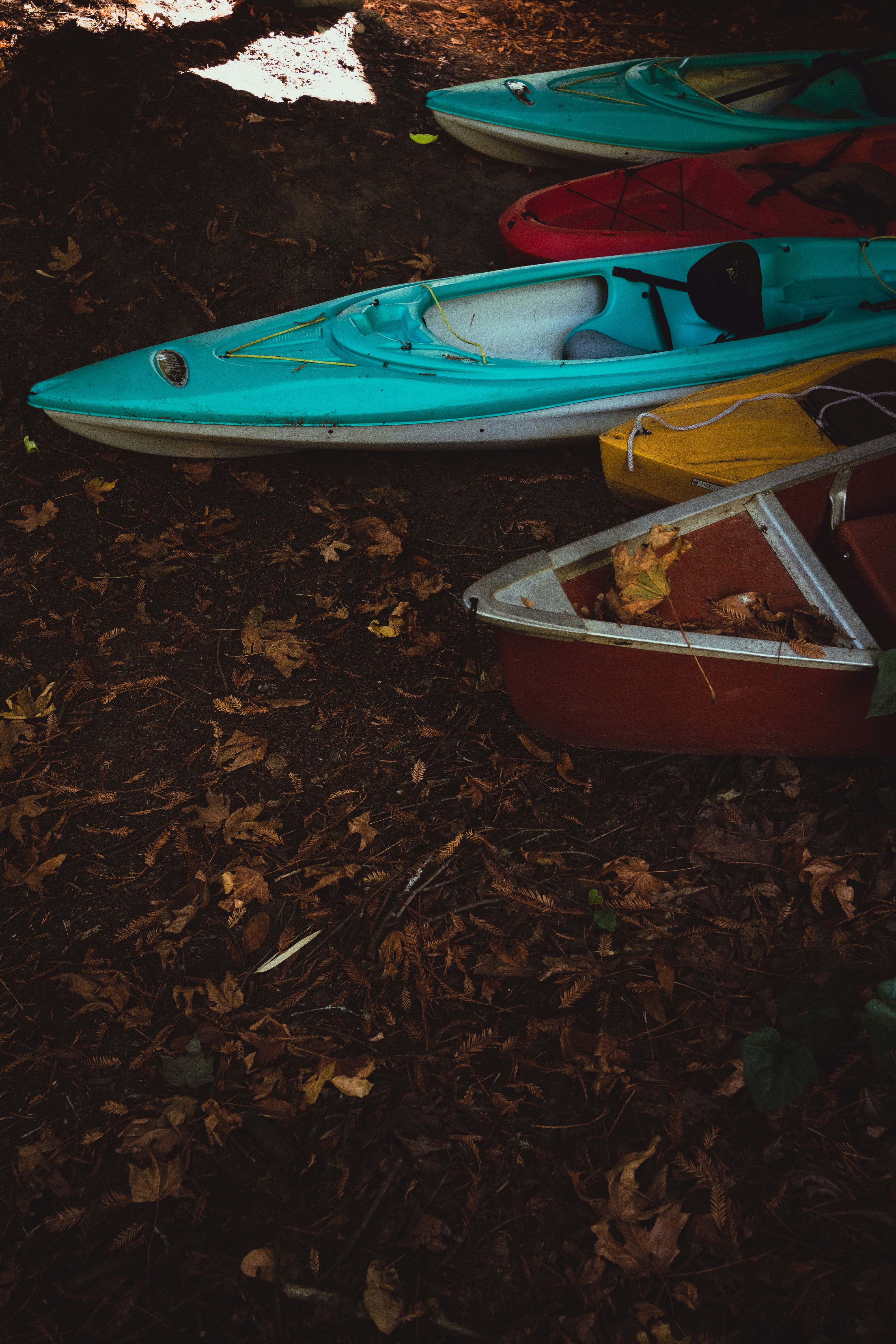 Photo by kalaniparker