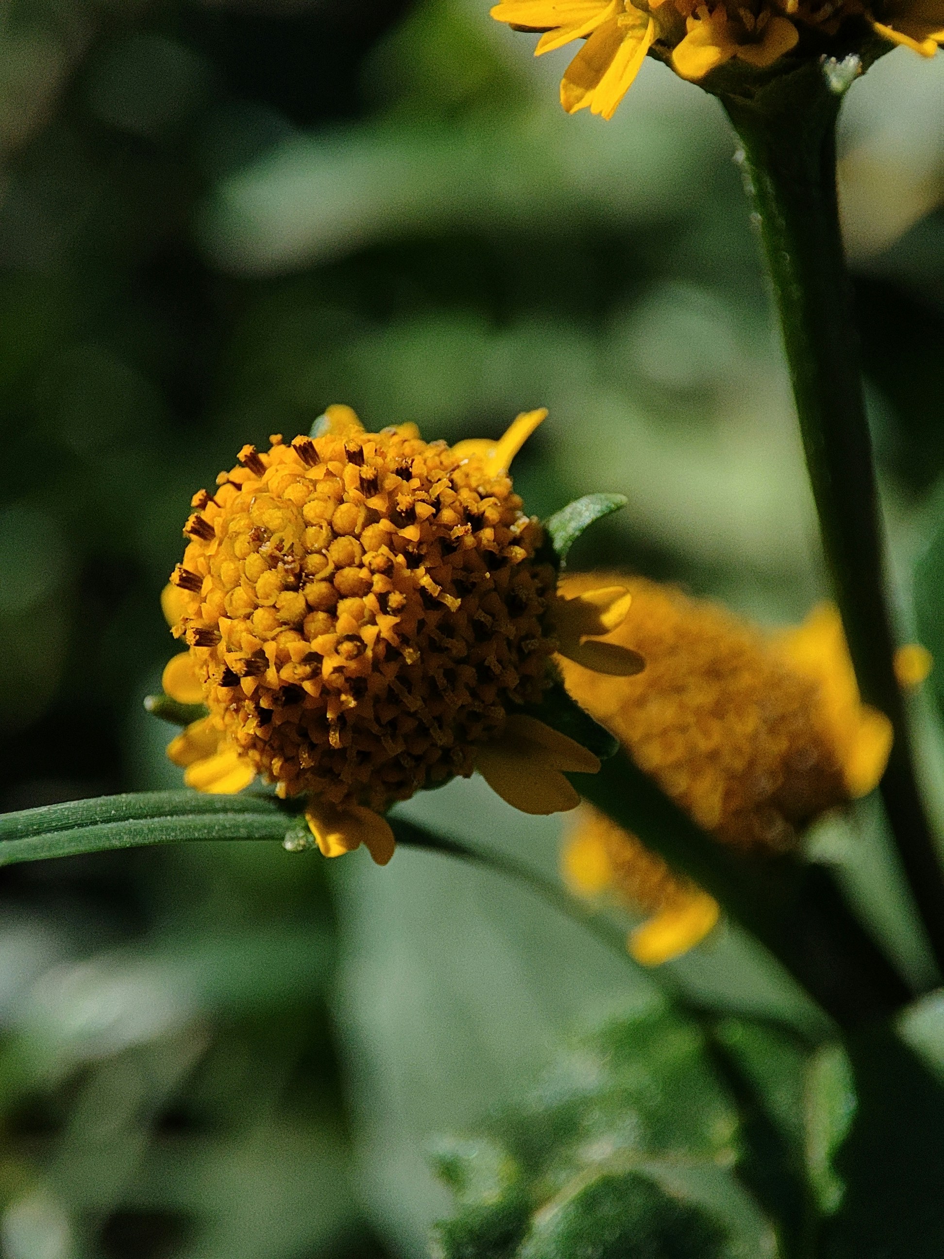Photo by kongkon0007