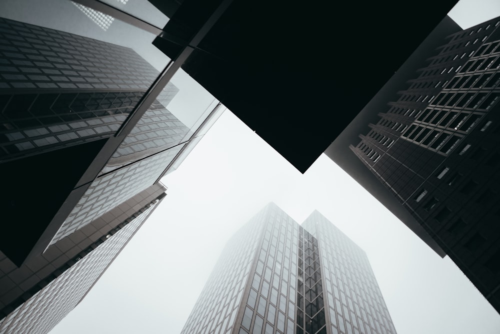 a group of tall buildings towering over a city