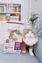 A fluffy cat with similar colors to the cat on the packaging sits beside a bag of cat food. The cat appears curious and is wearing a brown sweater. The background includes a bookshelf filled with books and some greenery.