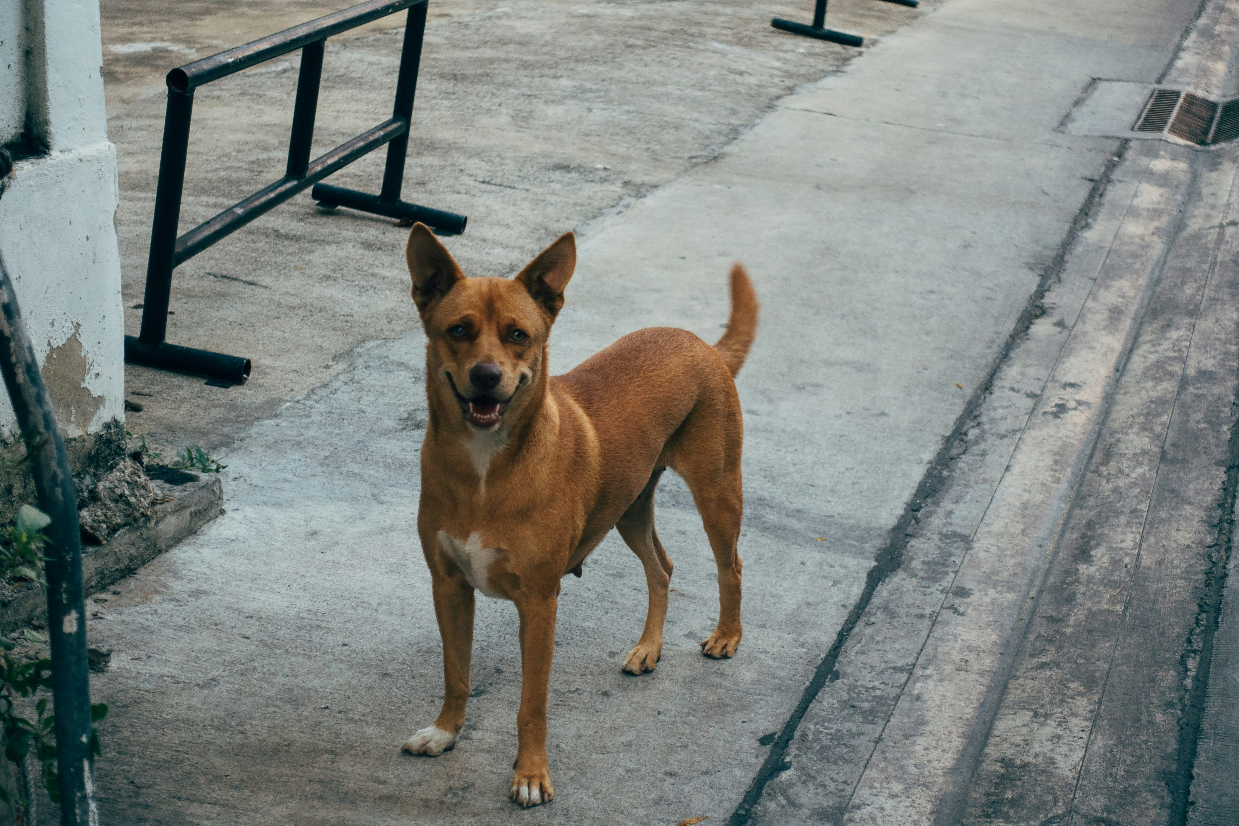 Photo by markuswinkler