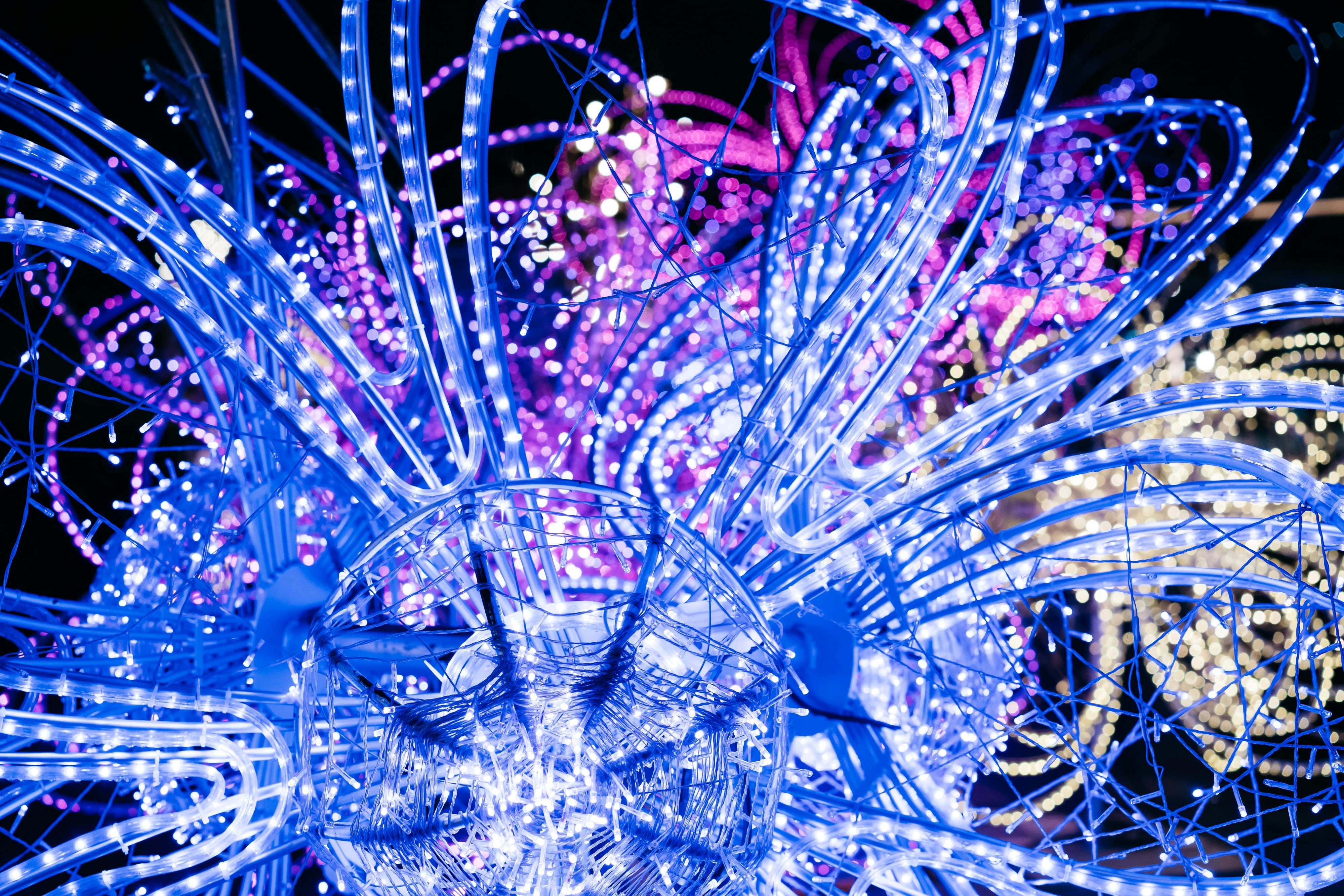 Photo by markuswinkler