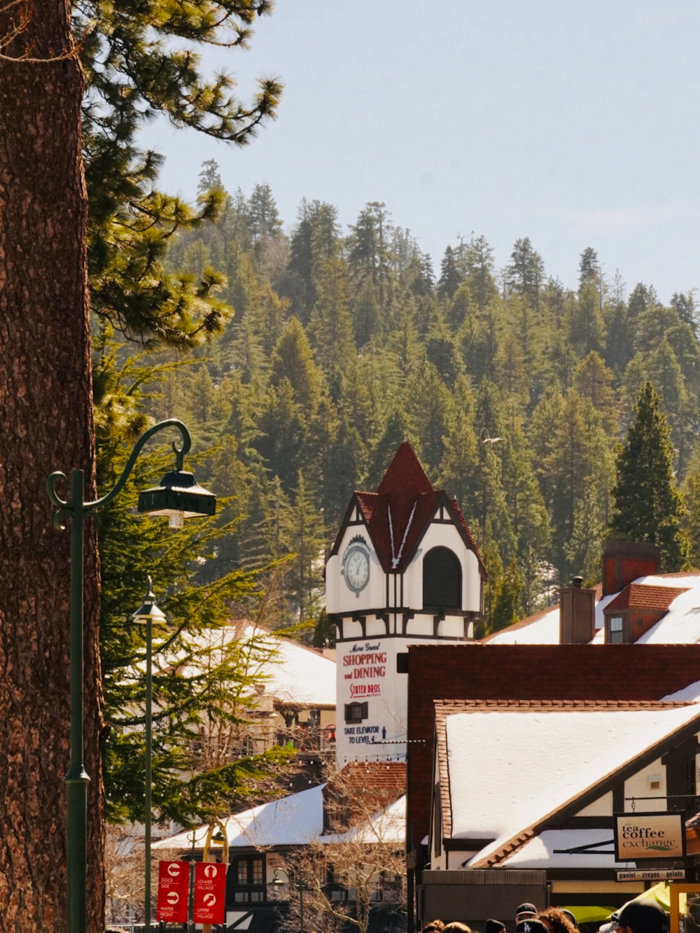 a group of people walking down a street next to a forest