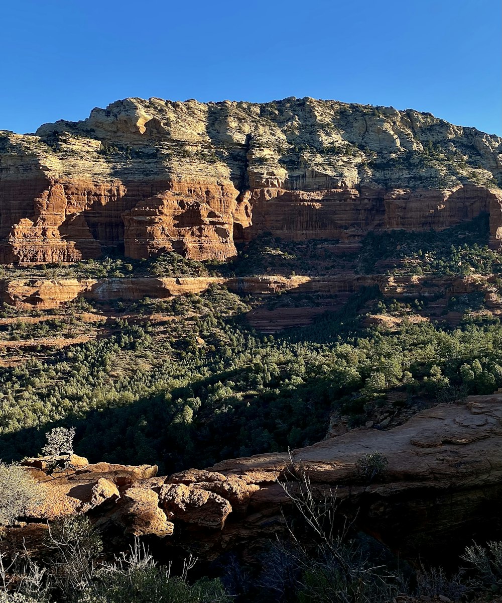 a scenic view of a mountain with trees in the foreground