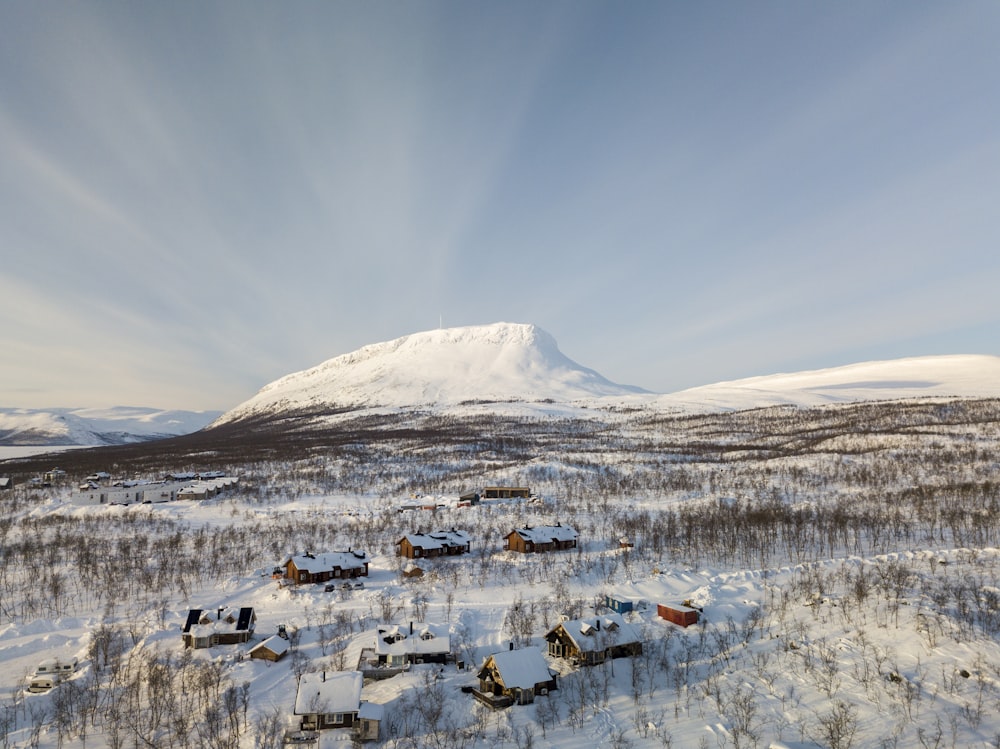 a snowy landscape with a mountain in the background