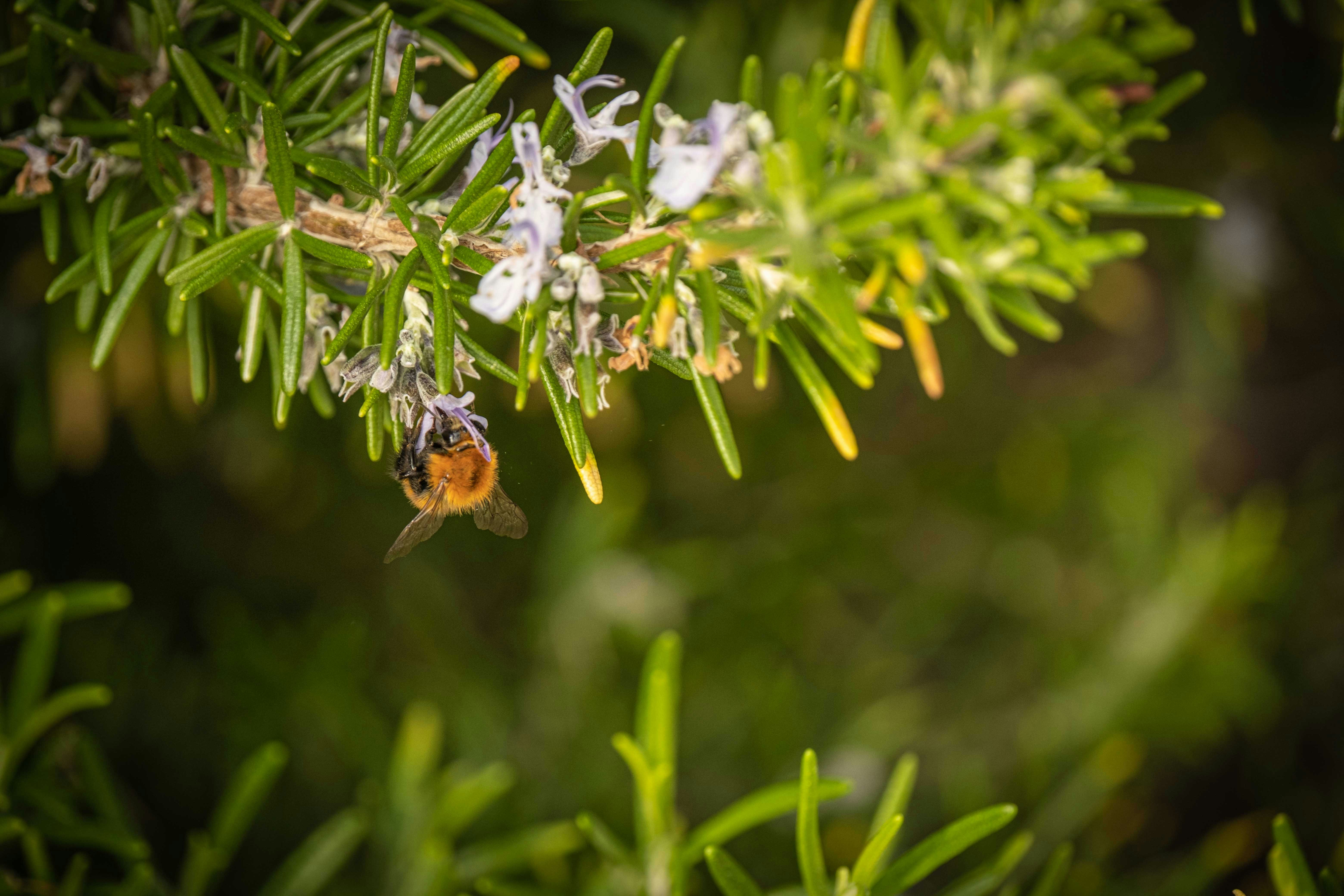 Photo by francesco_ungaro