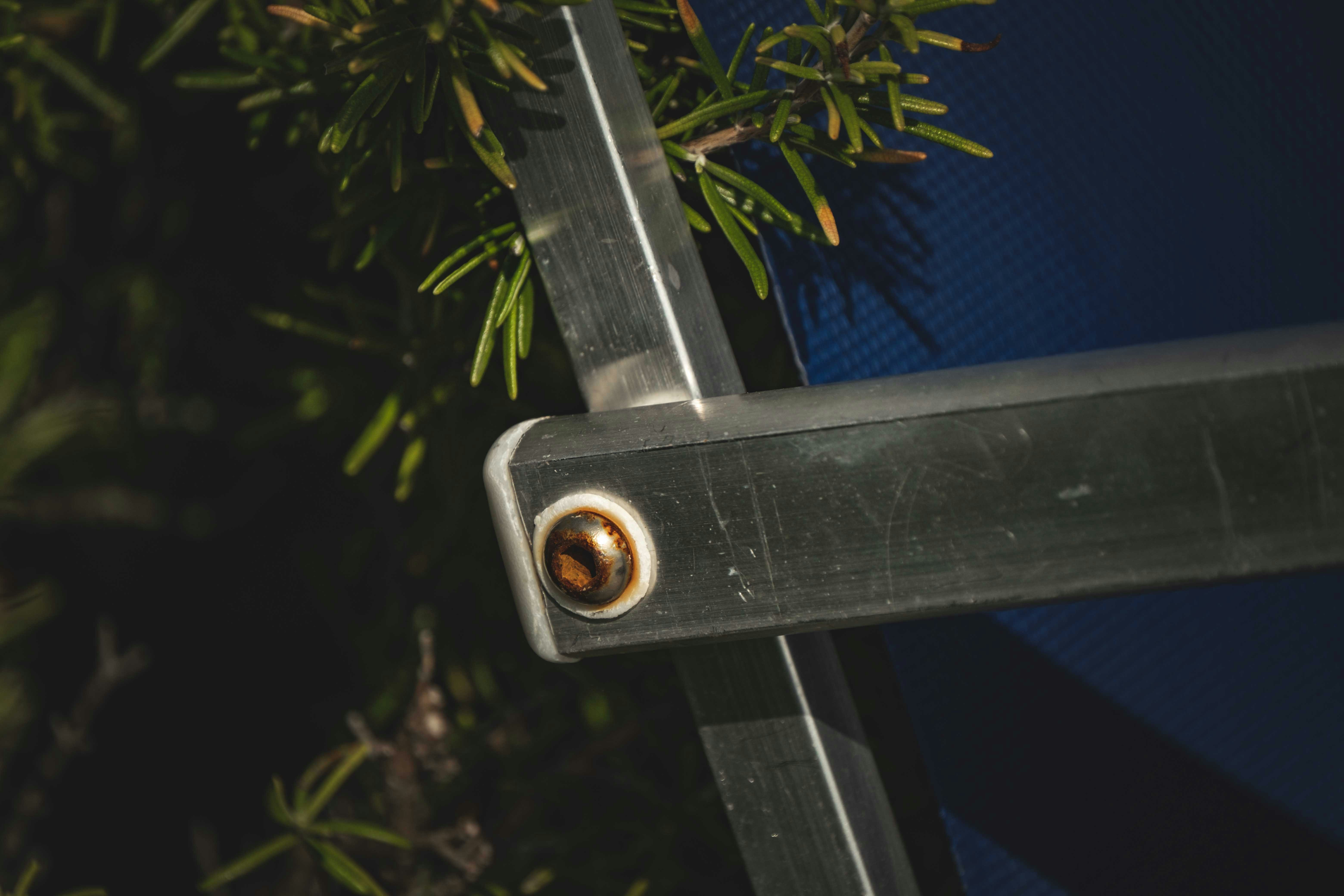 Photo by francesco_ungaro