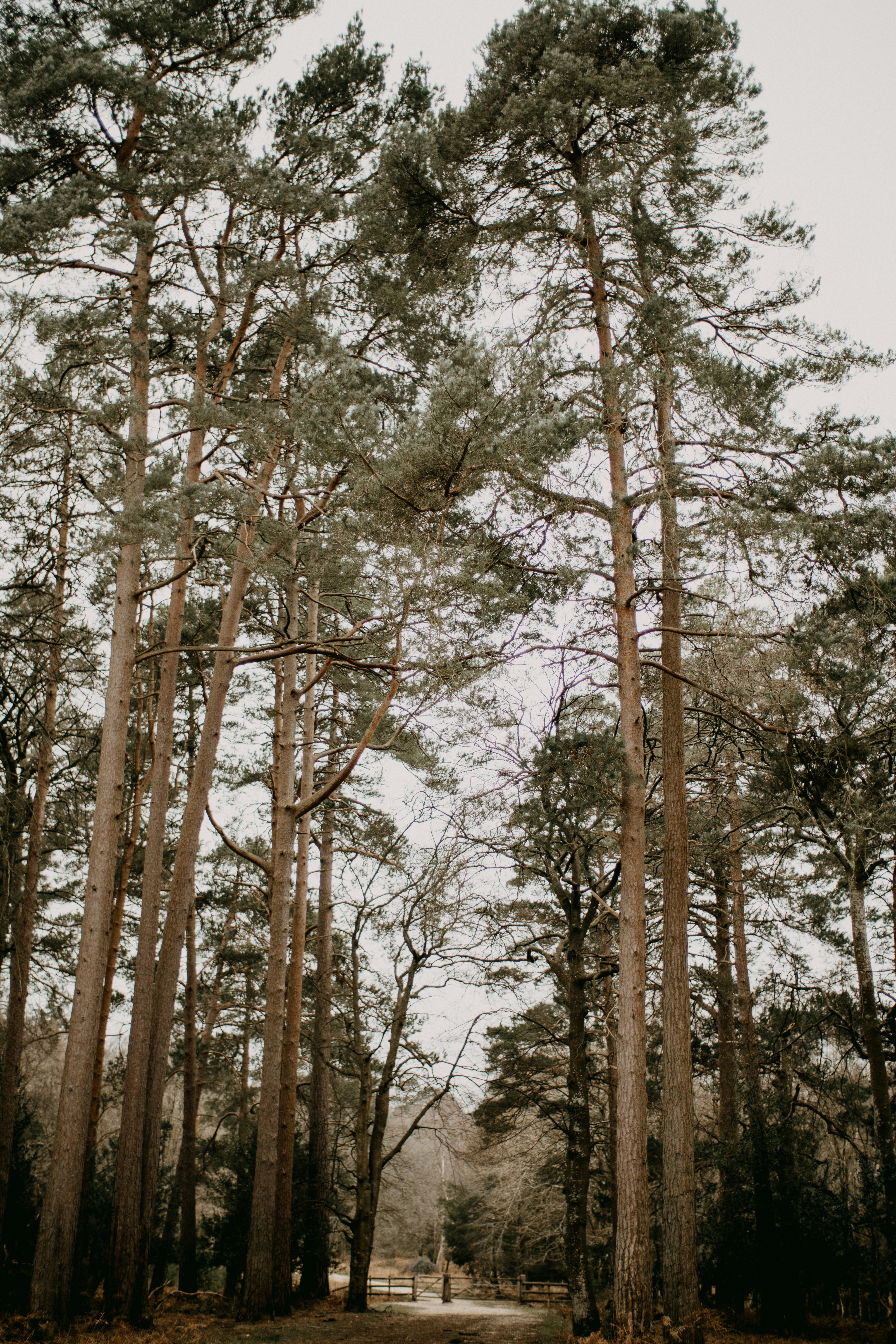 Photo by anniespratt