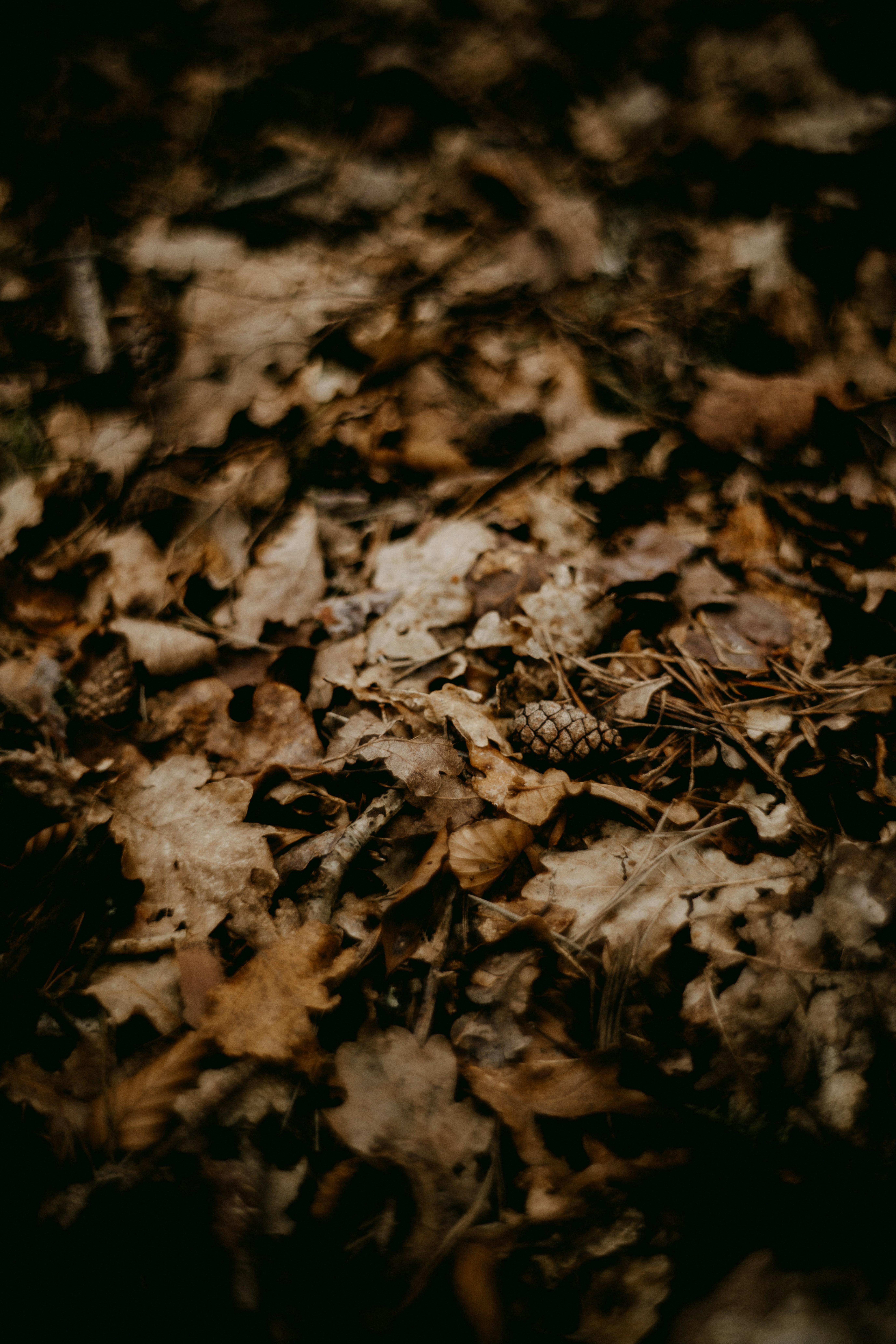 Photo by anniespratt