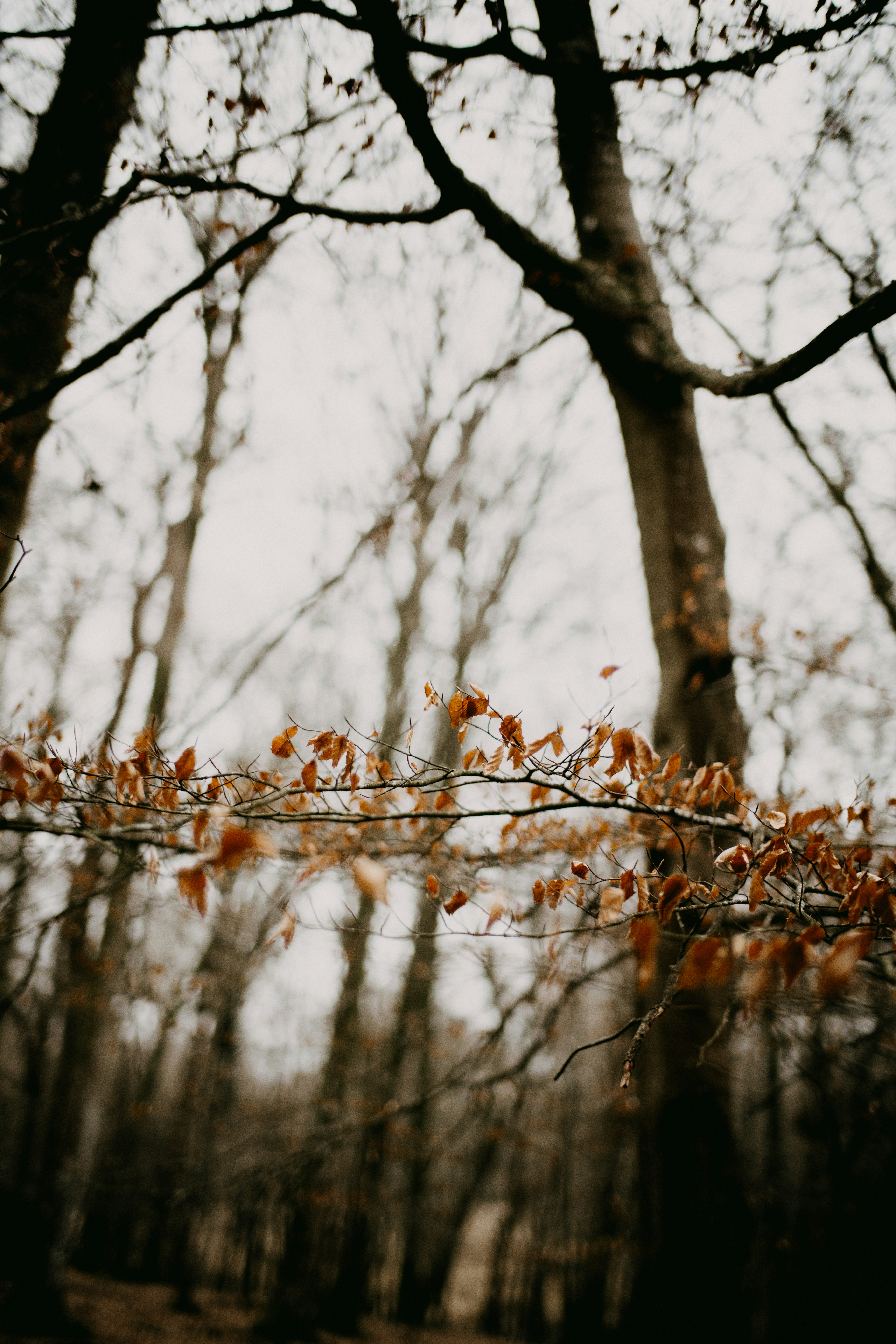 Photo by anniespratt