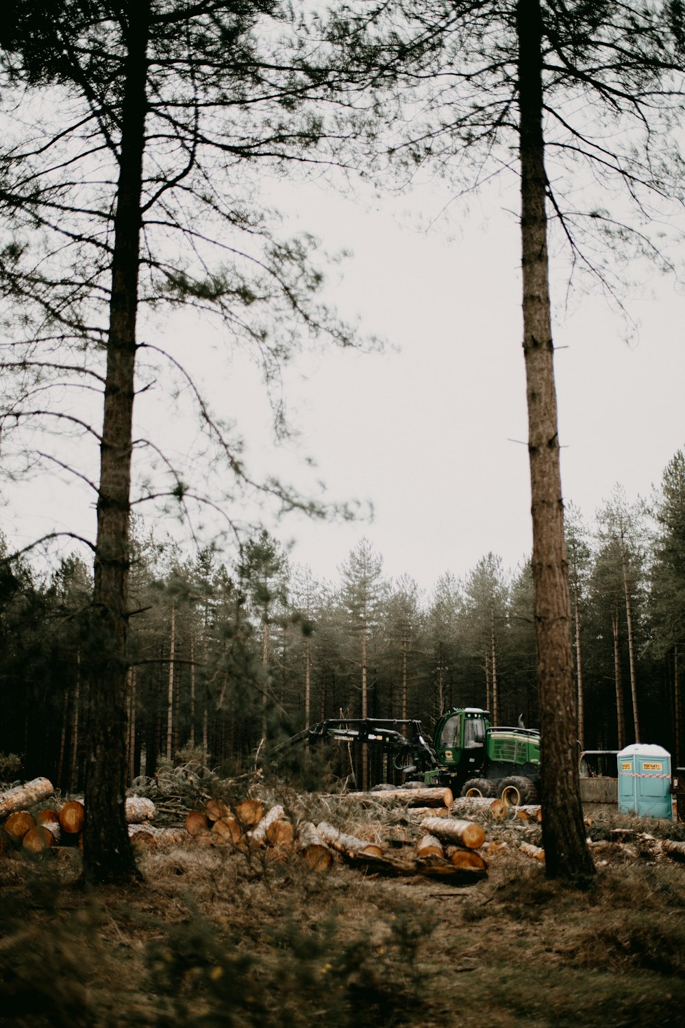 a truck is parked in the middle of a forest