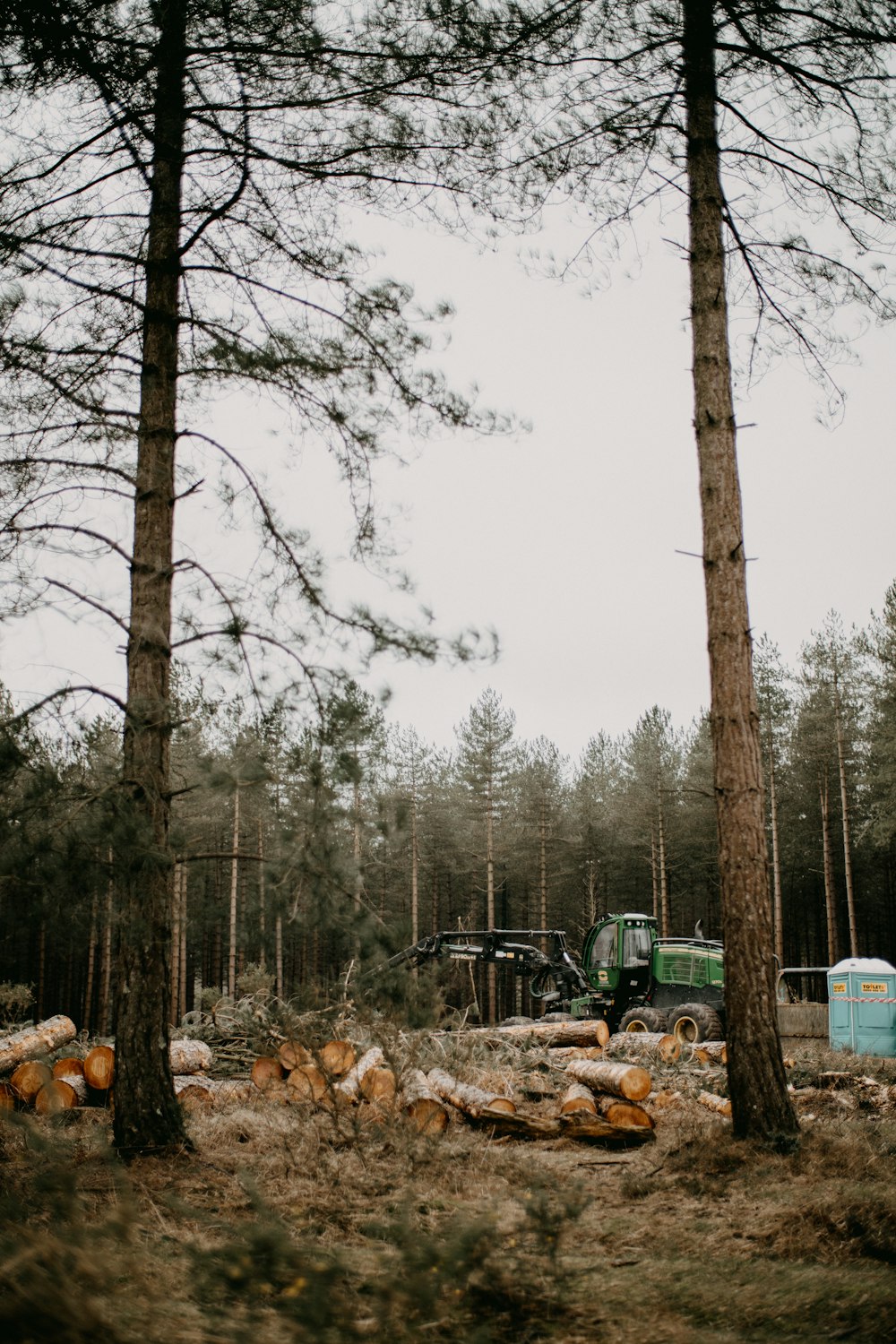 a truck is parked in the middle of a forest