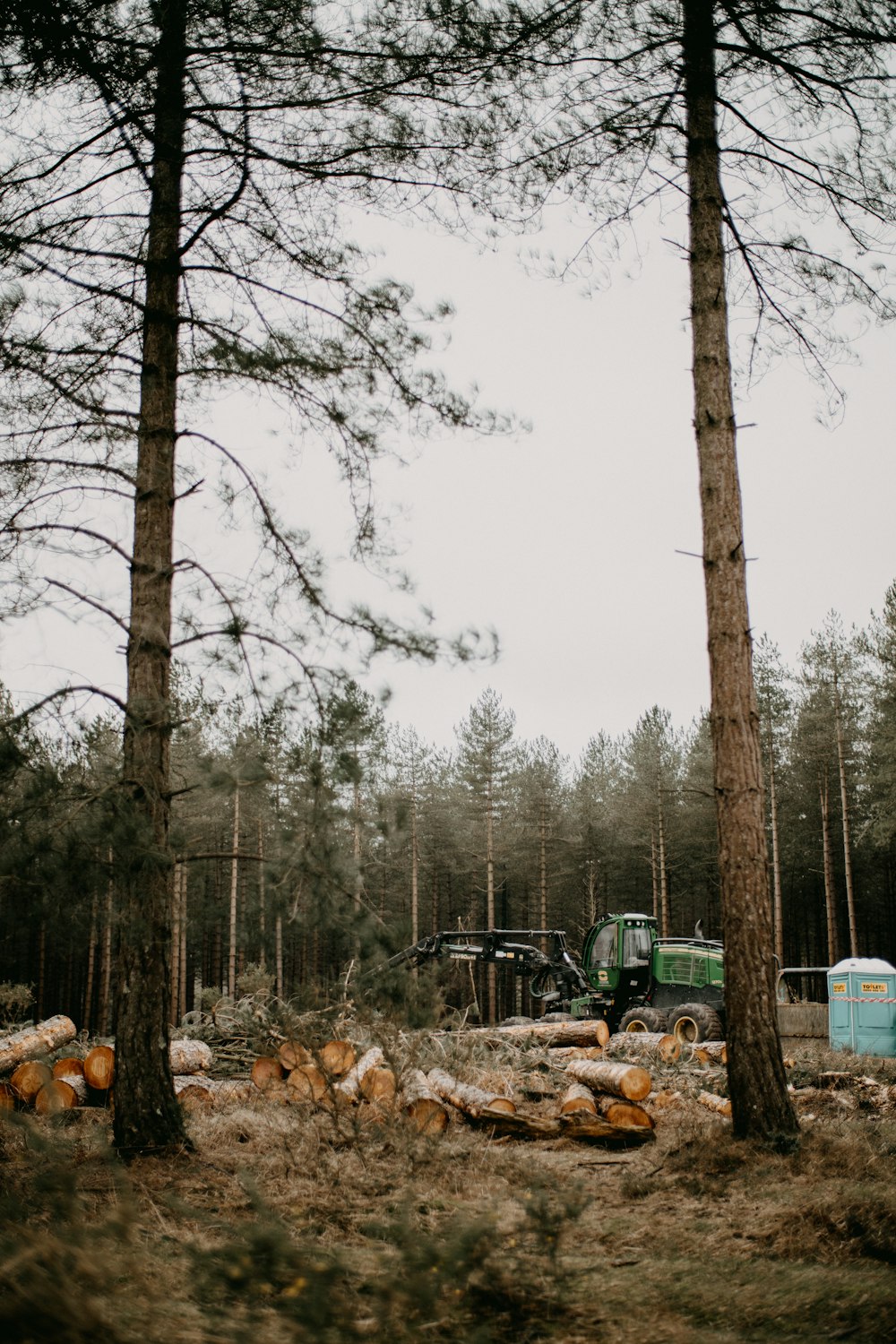 Ein LKW parkt mitten im Wald