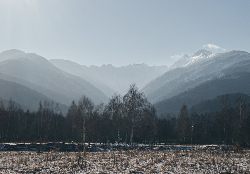 Une chaîne de montagnes avec de la neige au sol