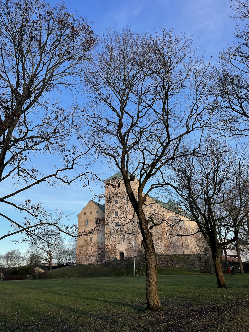 a large building sitting behind some trees in a field