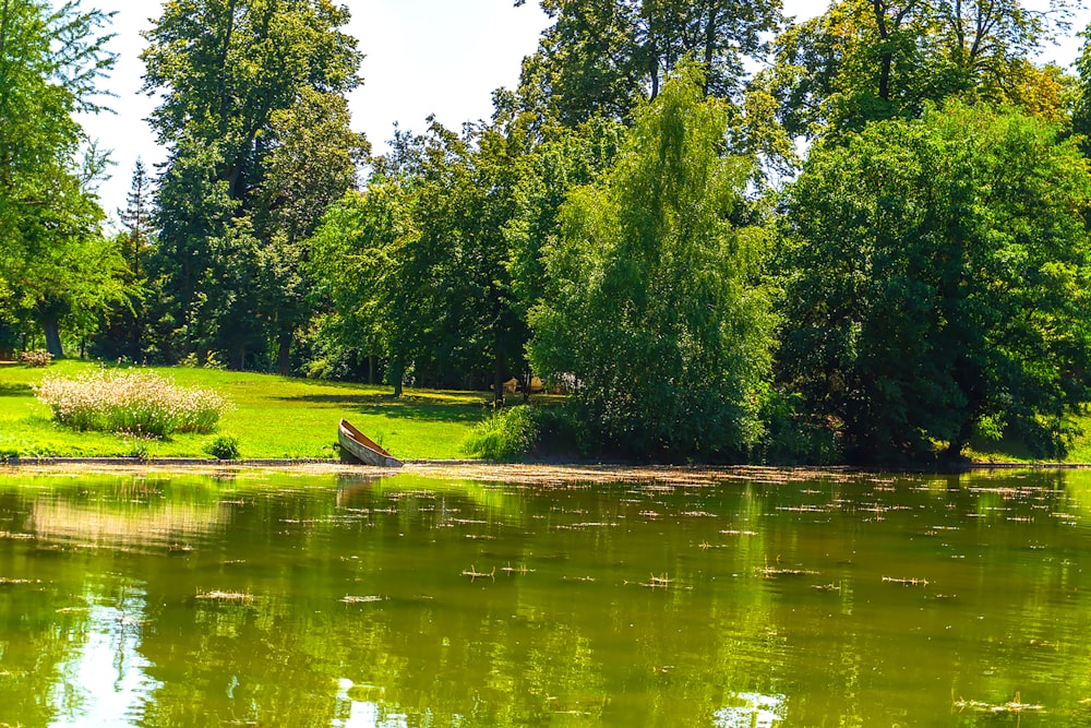 a lake surrounded by trees and a lush green park