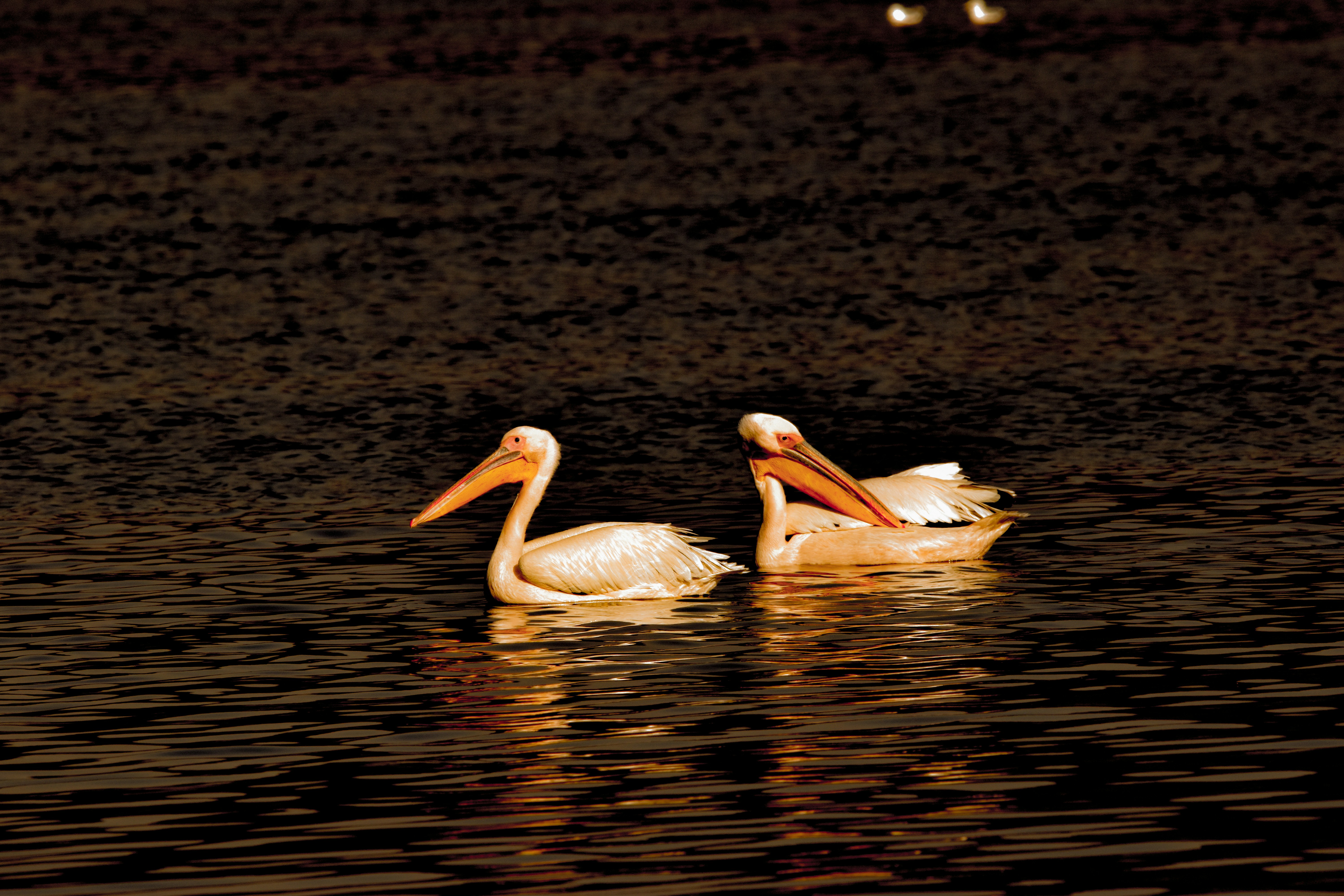 Photo by amitrai10