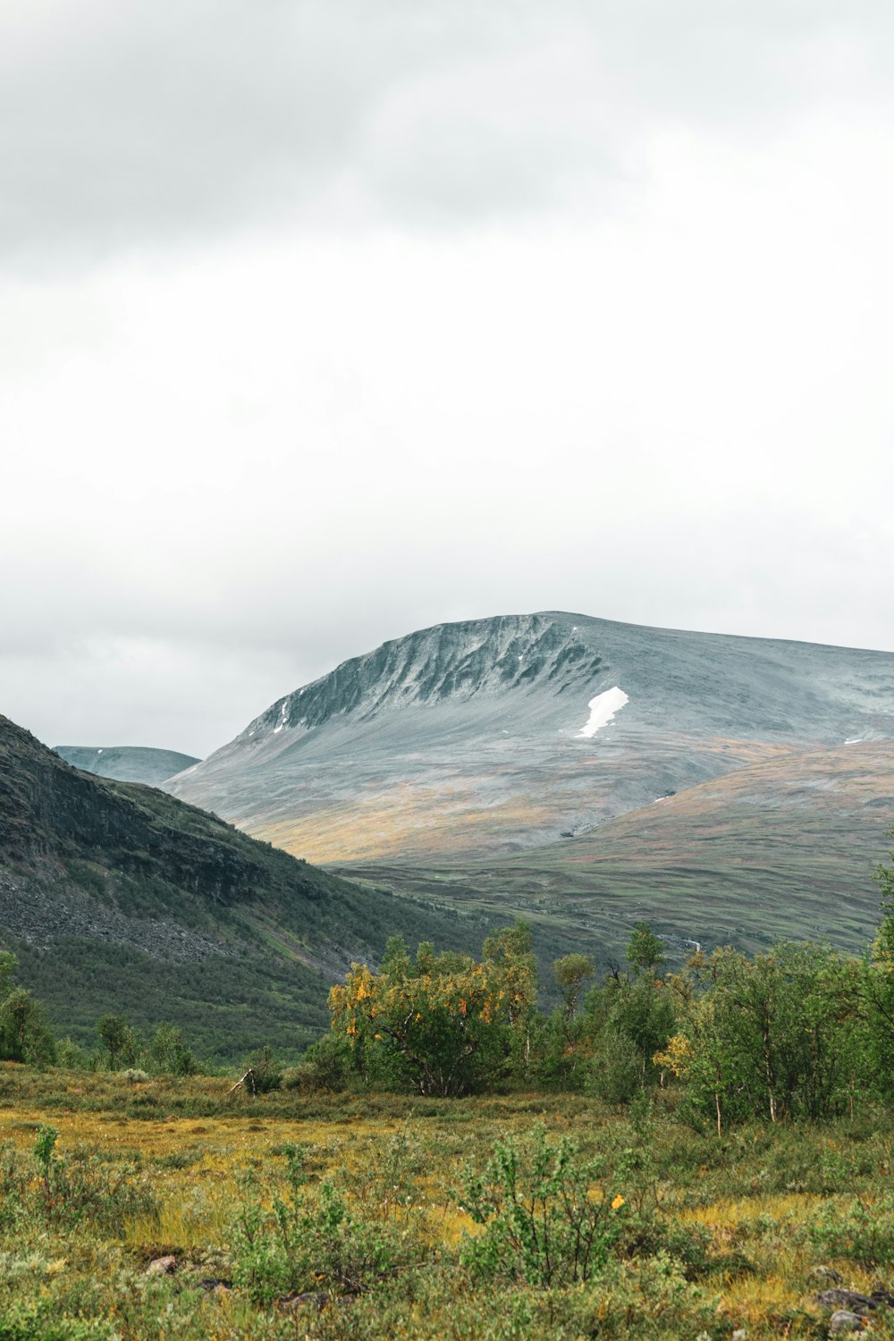 a grassy field with a mountain in the background