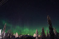 A night scene capturing vibrant green auroras dancing over a campervan parked in a quiet, snowy landscape.