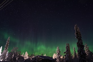 A serene snow-covered forest illuminated by vibrant green and purple northern lights streaking across the night sky.