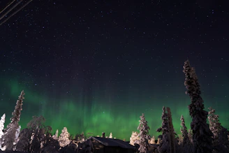 A night scene capturing vibrant green auroras dancing over a campervan parked in a quiet, snowy landscape.