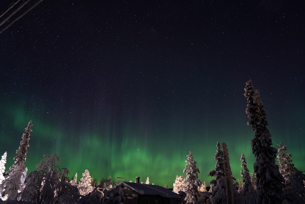 a green and white aurora bore is in the sky