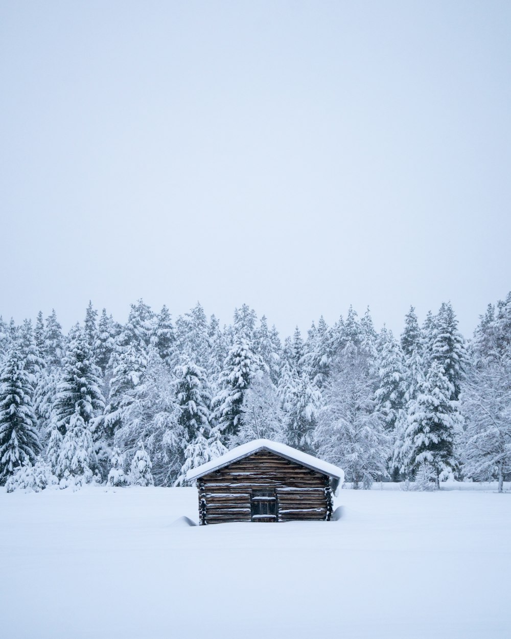 a cabin in the middle of a snowy forest