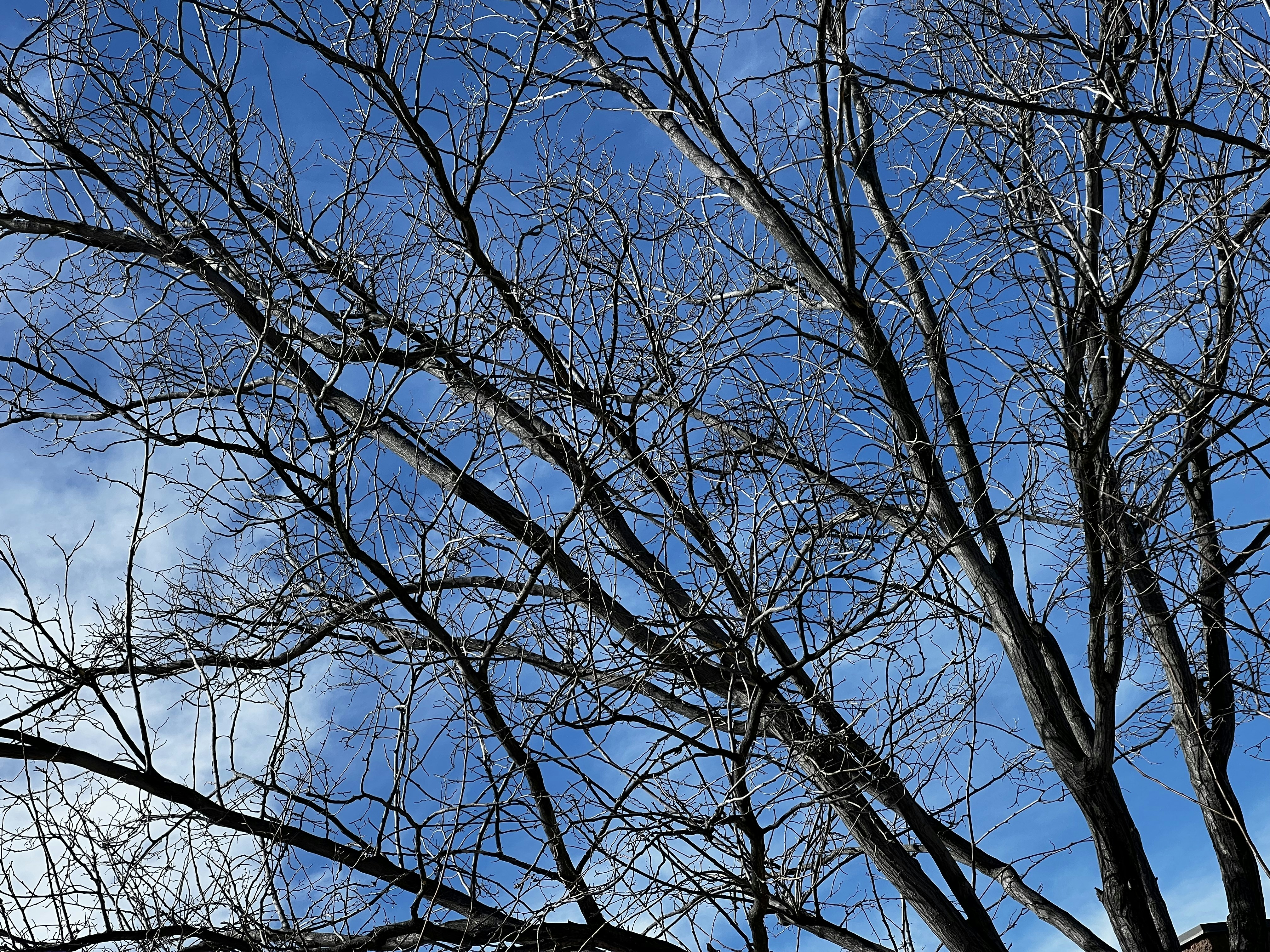 Photo by parzival_pdx