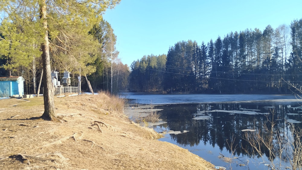 uno specchio d'acqua circondato da una foresta