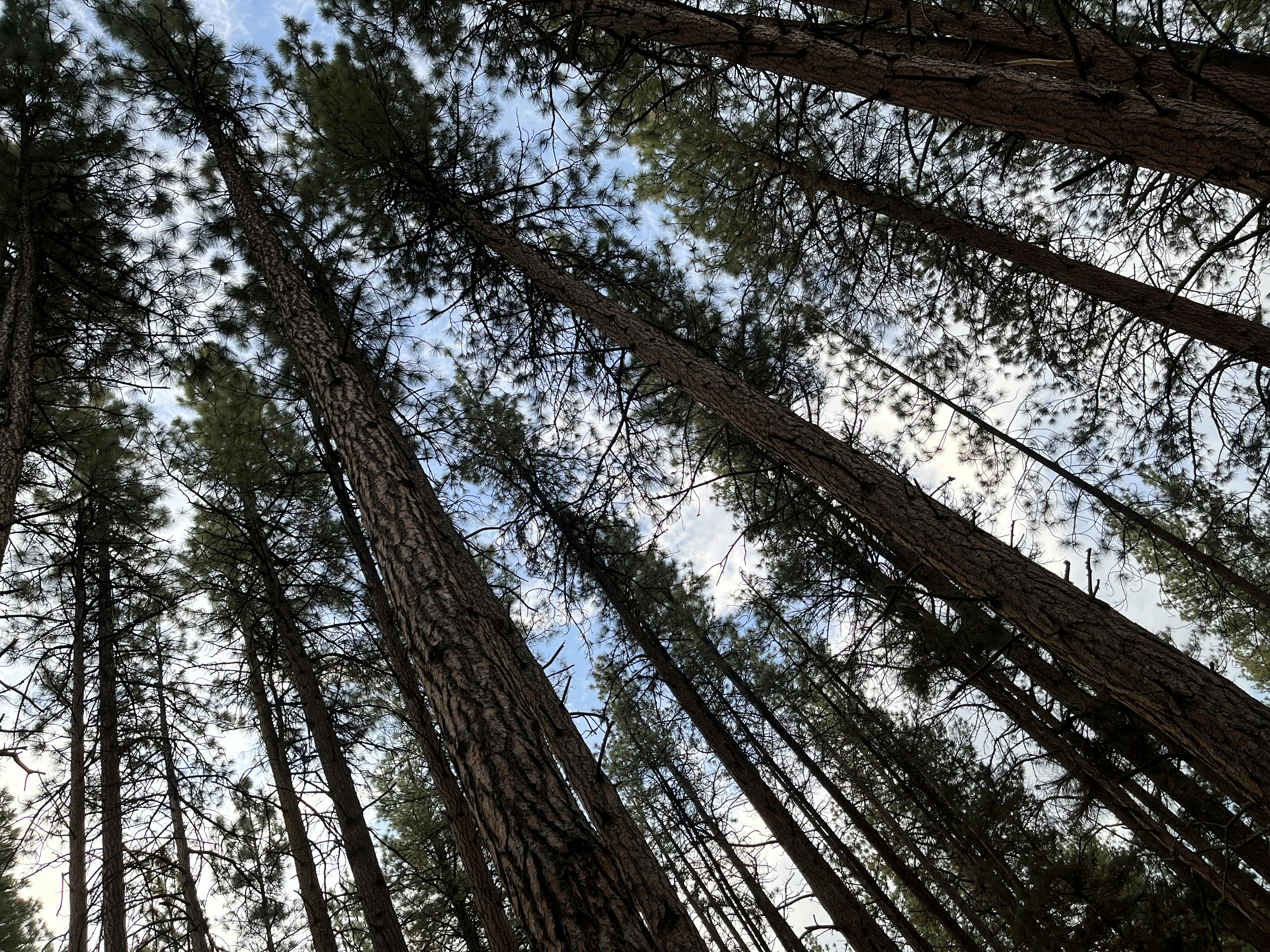 Photo by parzival_pdx