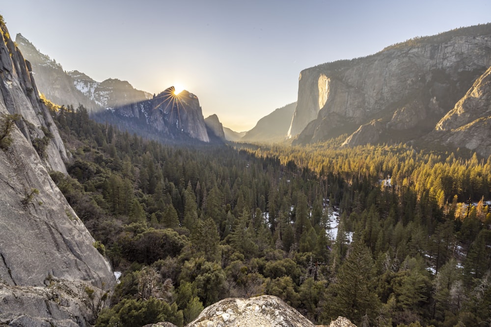 the sun shines through the trees in the mountains