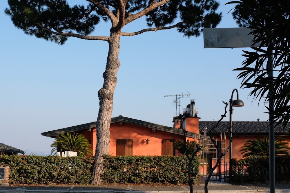 a house with a tree in front of it