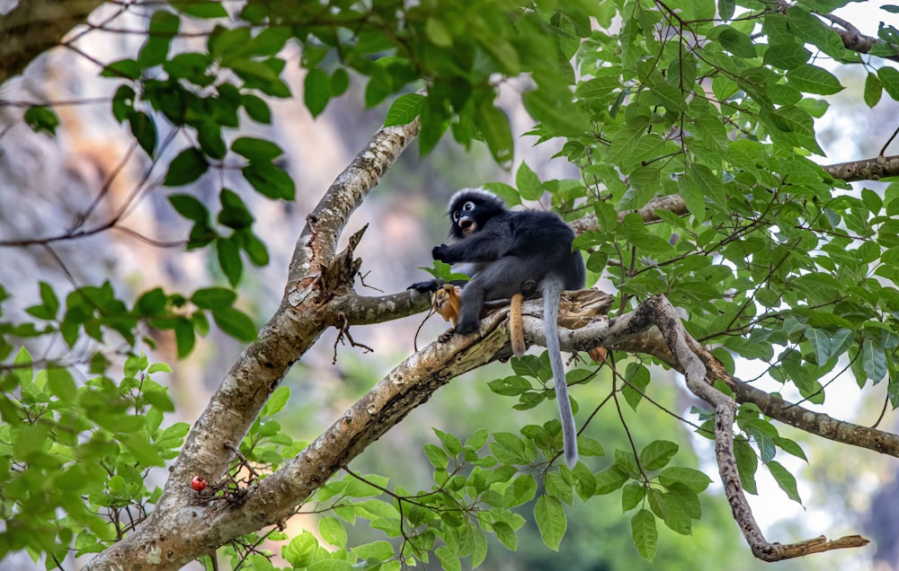 a bird perched on a tree branch