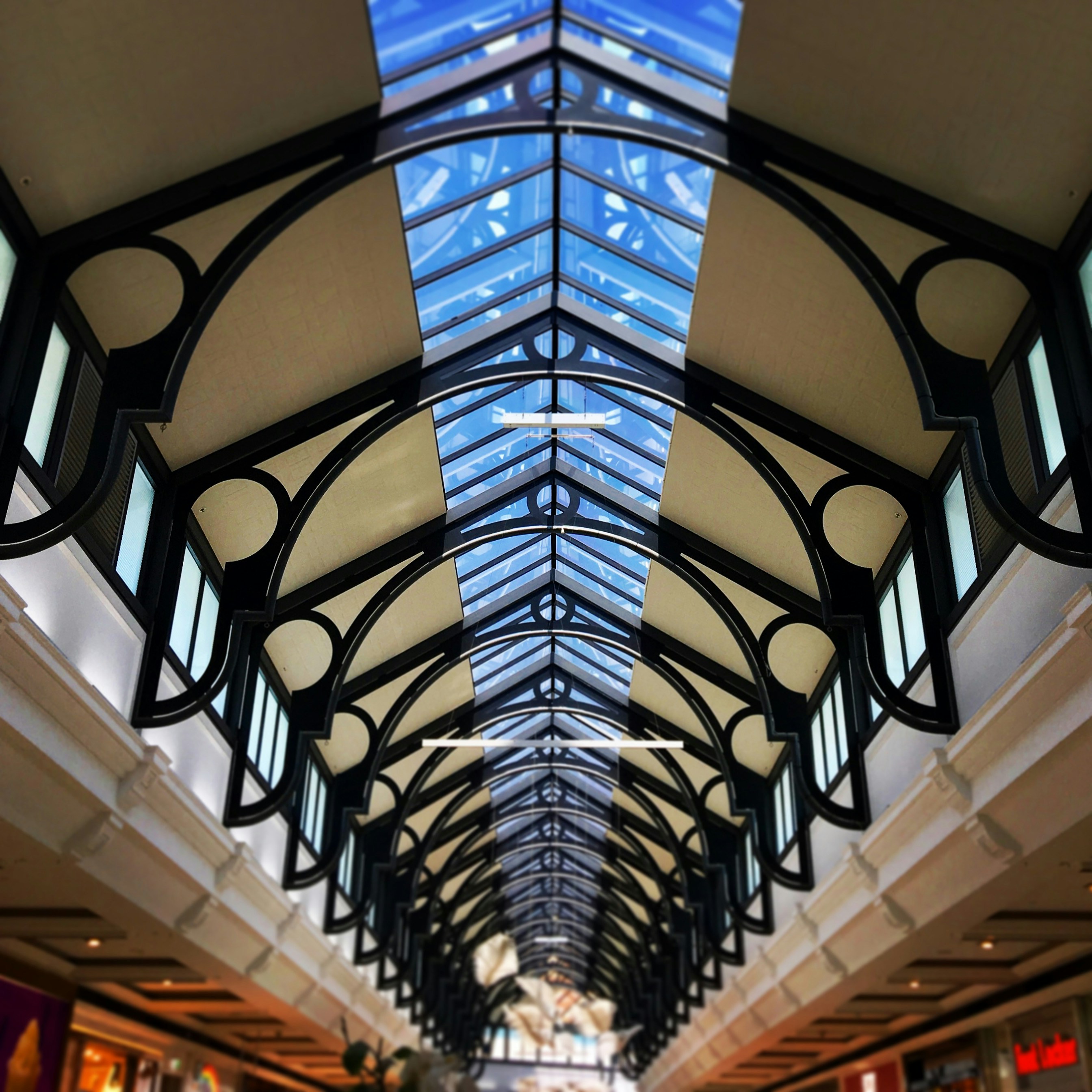 Photo by elitelensphotography