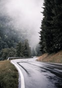 a winding road in the middle of a forest