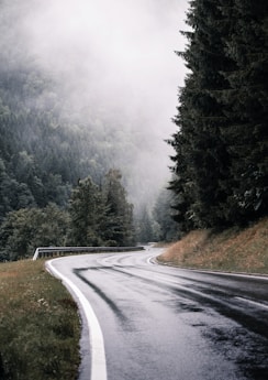 a winding road in the middle of a forest