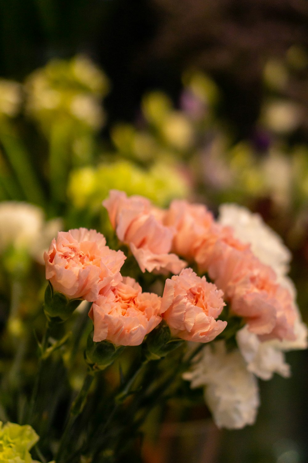 a bunch of pink and white flowers in a vase