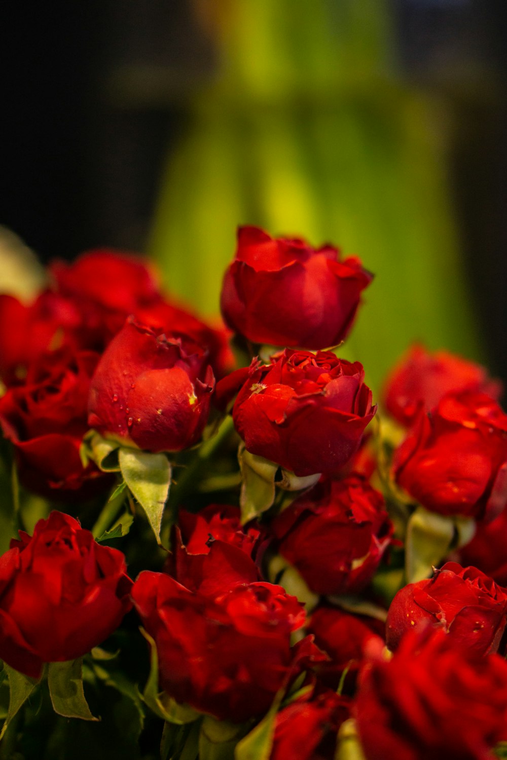 a bunch of red roses in a vase