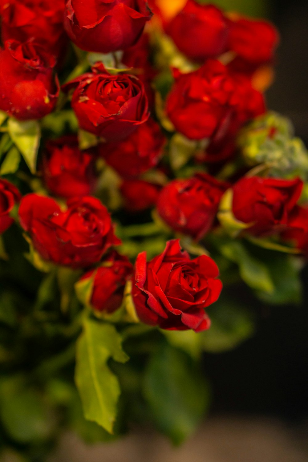 a bouquet of red roses with green leaves