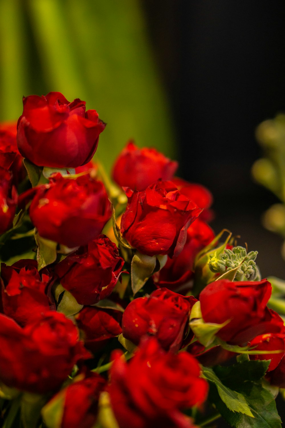 a bouquet of red roses sitting on top of a table