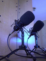 Close-up of a professional interview setup with elegant black and gold microphones.