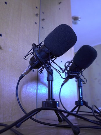 A collection of various microphone stands arranged in a well-lit studio setting.