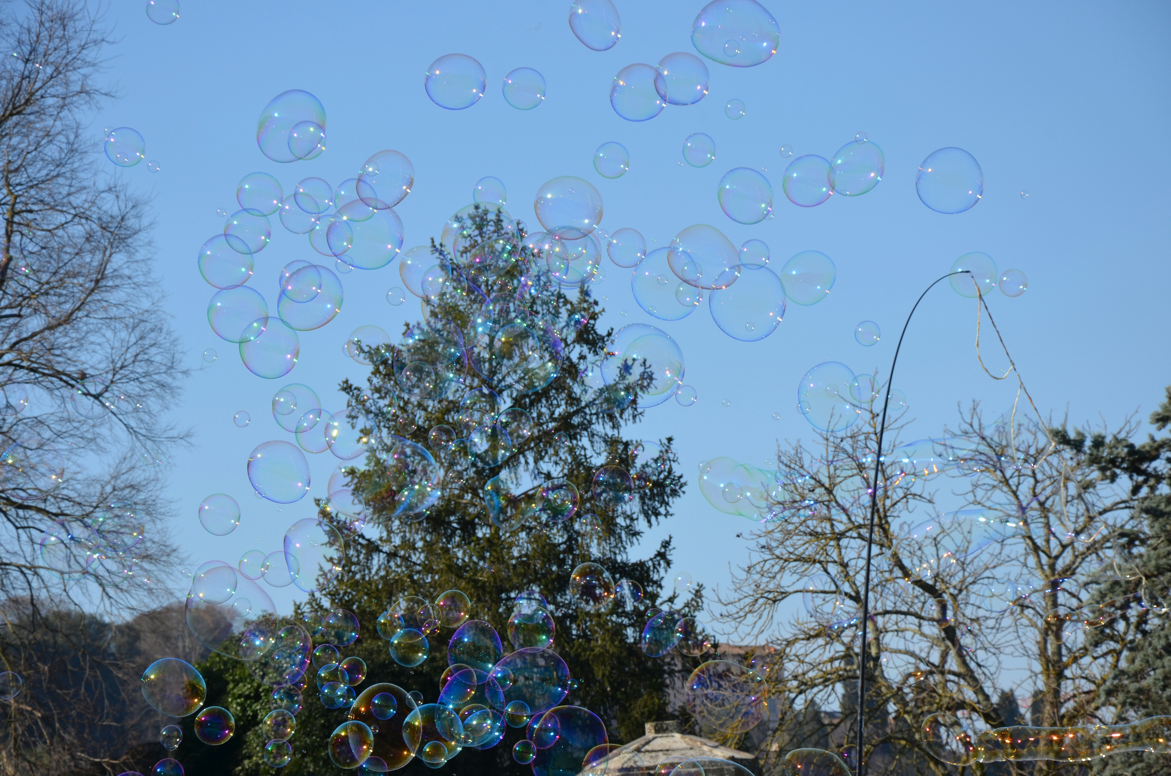 a bunch of soap bubbles floating in the air